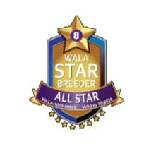 WALA All-Star