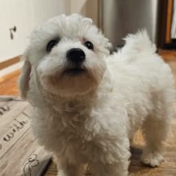 Meaghan R.'s profile photo