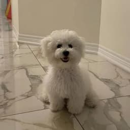 Kirpal B.'s profile photo