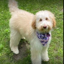 Jennifer B.'s profile photo