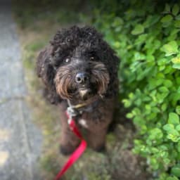 Sumi L.'s profile photo