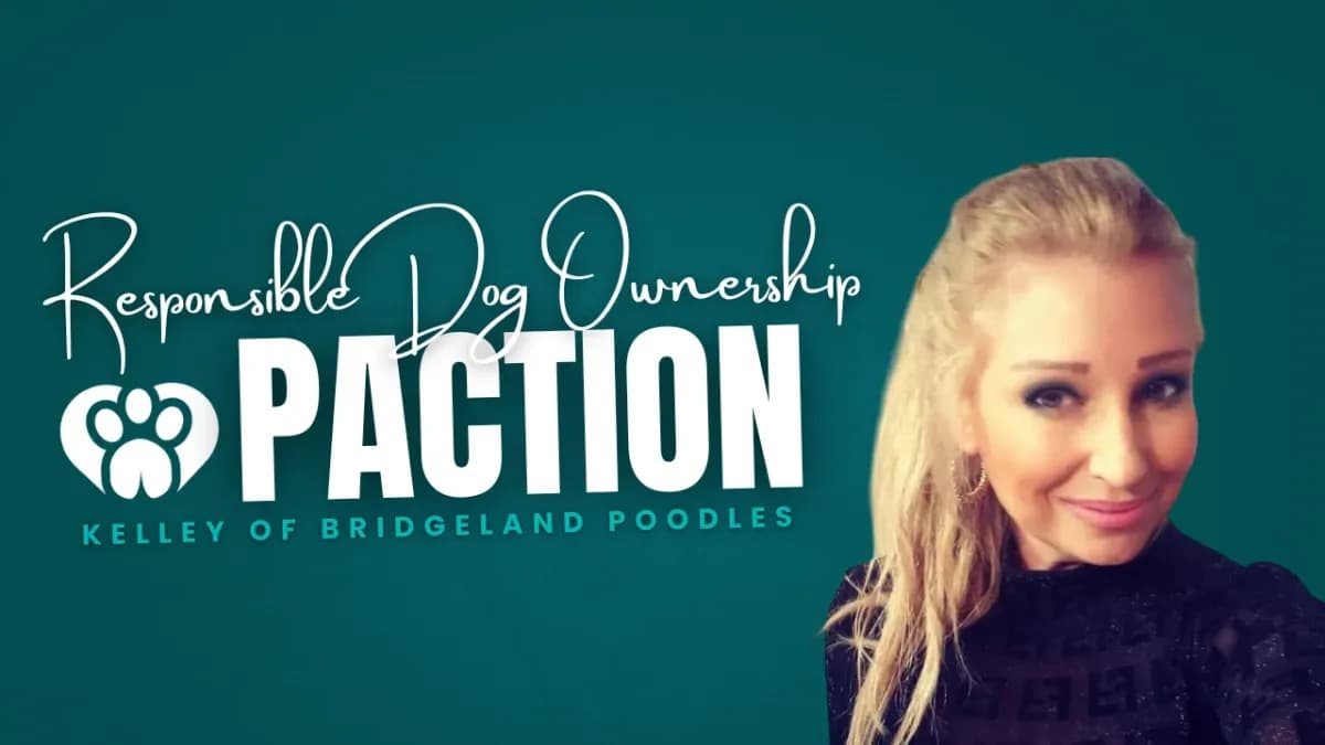 Kelley of Bridgeland Poodles