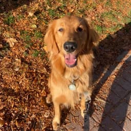 Alex E.'s profile photo