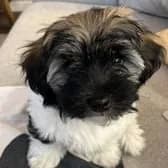 Kasia R.'s profile photo