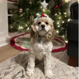 Dianne F.'s profile photo