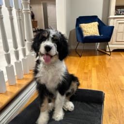 Teresa D.'s profile photo