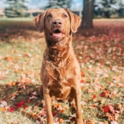 Brittany D.'s profile photo