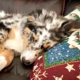 Lisa M.'s profile photo