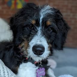 Sharon D.'s profile photo