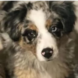 Cristal S.'s profile photo