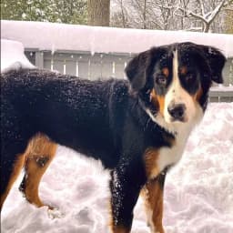 Myth A.'s profile photo