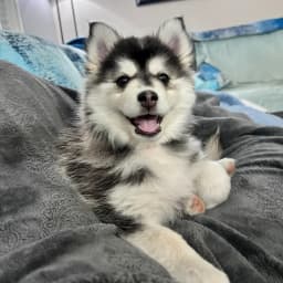 Andrea A.'s profile photo