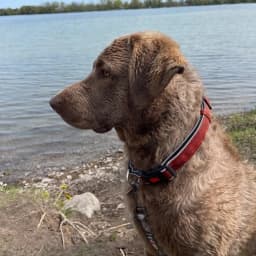 John & Gail G.'s profile photo