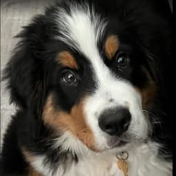 Vicki M.'s profile photo