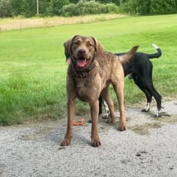 Sara S.'s profile photo