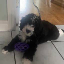 Jan V.'s profile photo