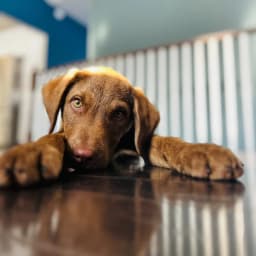 Lizz's profile photo