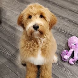 Effy J.'s profile photo