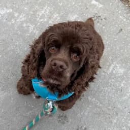 Leena B.'s profile photo