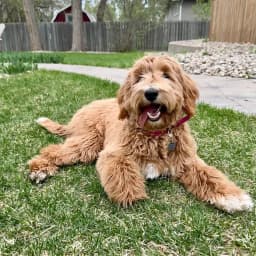 Janessa G.'s profile photo