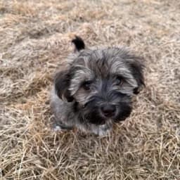 Lei T.'s profile photo