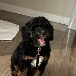 Marcin K.'s profile photo