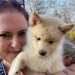 Tara D.'s profile photo