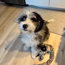 Mathieu G.'s profile photo