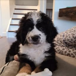 Matt B.'s profile photo