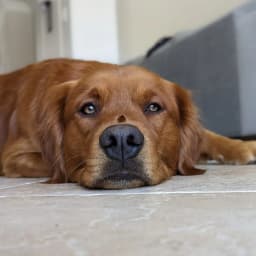 Carly F.'s profile photo