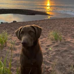 Ben R.'s profile photo