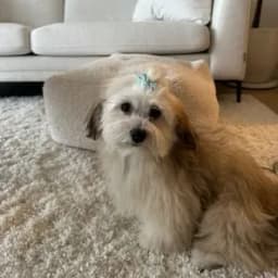 Alex D.'s profile photo