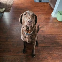 Brandon C.'s profile photo