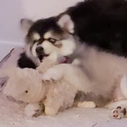 Julianne S.'s profile photo