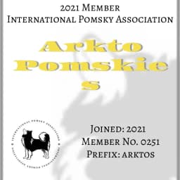 International Pomsky Association