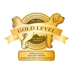 Goldendoodle Association of North America