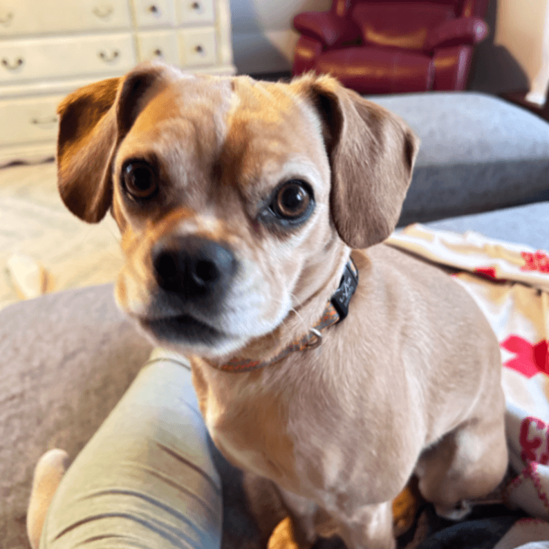 Urban Acre Foundation litter