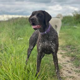 Andrea M.'s profile photo