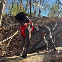 Heather B.'s profile photo