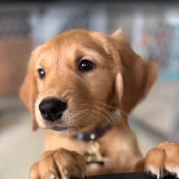 Kirsten H.'s profile photo