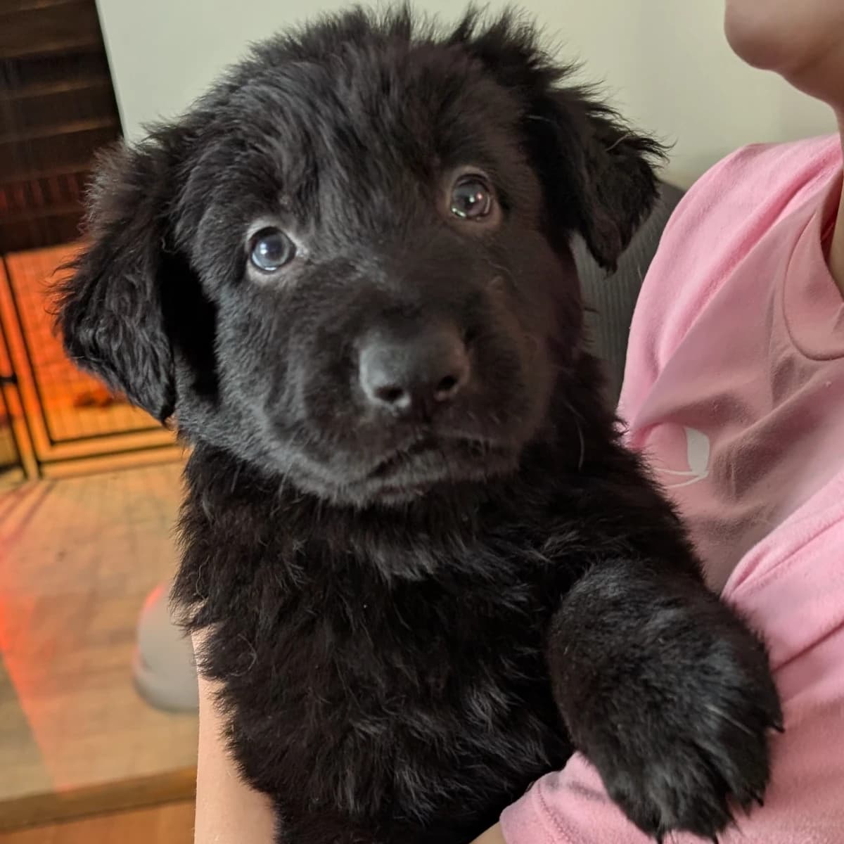 1 solid black long coat male available